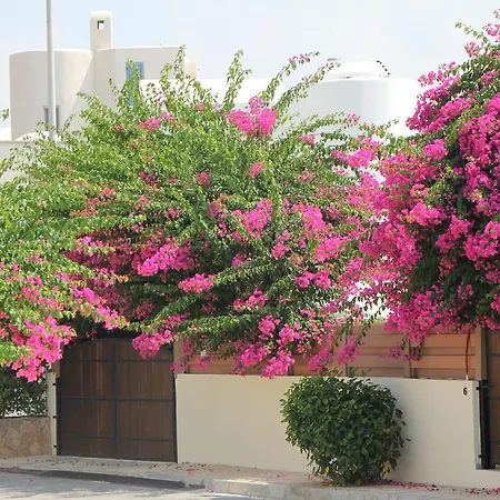 Villa Arkadia Paphos