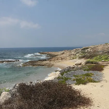 Villa Arkadia Paphos